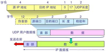 計(jì)算機(jī)網(wǎng)絡(luò)知識(shí)總結(jié)